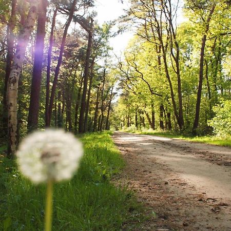 Natuurhuisje Even Niets Zelhem Bagian luar foto