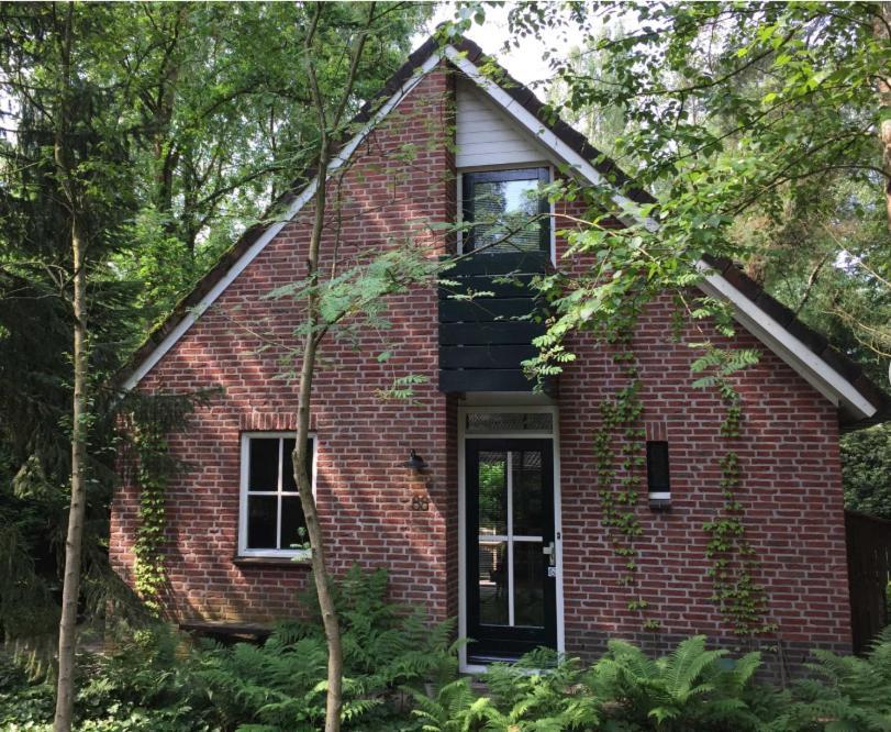 Natuurhuisje Even Niets Zelhem Bagian luar foto