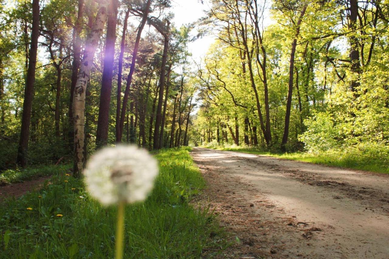 Natuurhuisje Even Niets Zelhem Bagian luar foto